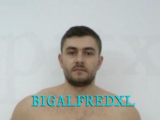 BIGALFREDXL