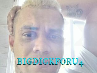 BIGDICKFORU4