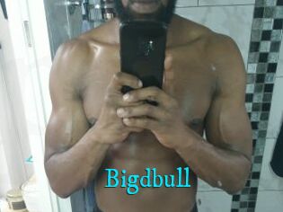Bigdbull