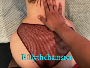 Billythehamster