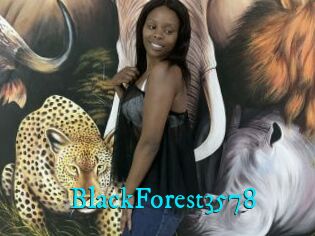 BlackForest3578
