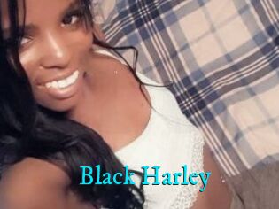 Black_Harley