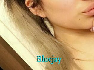 Blue_jay