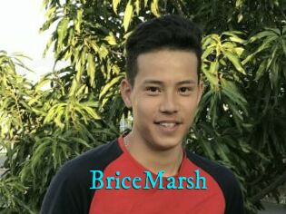 BriceMarsh