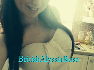BritishAlyssiaRose