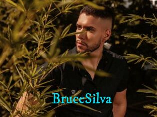 BruceSilva