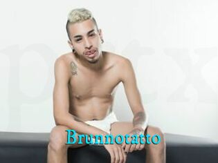 Brunnotatto