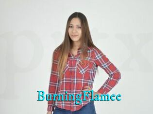 BurningFlamee