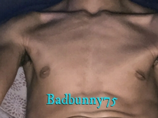 Badbunny75