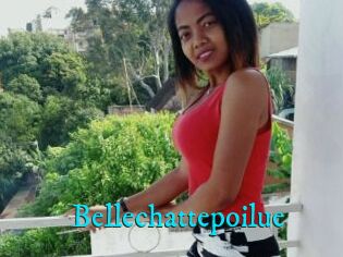 Bellechattepoilue