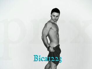 Bica1223