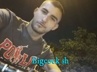 Bigcock_sh
