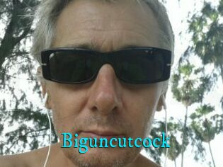Biguncutcock
