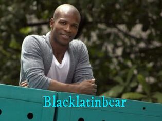 Blacklatinbear