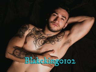 Blakeking0102