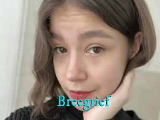 Breegrief