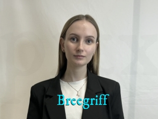 Breegriff