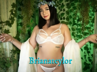 Brianateylor