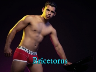 Bricetorus