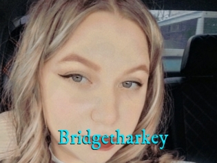 Bridgetharkey