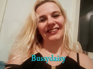 Bussydaisy