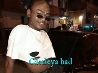 Cattleya_bad