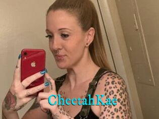 CheetahKae