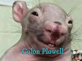 Colon_Plowell