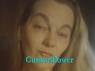 Curiousflower