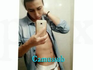 Camussub