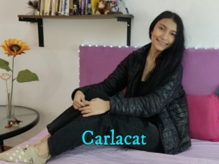 Carlacat