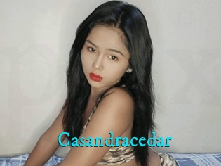 Casandracedar