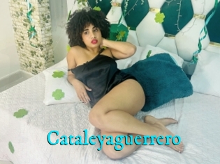 Cataleyaguerrero