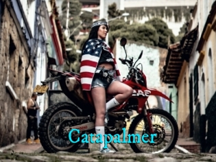 Catapalmer