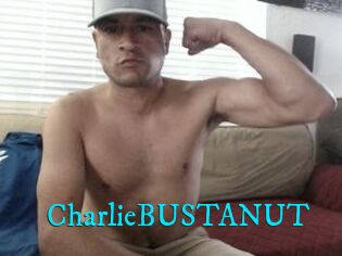 CharlieBUSTANUT