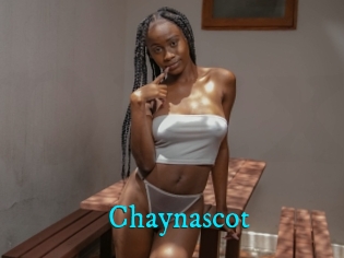 Chaynascot