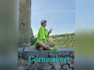 Cornesakeat