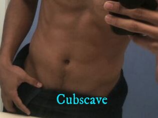Cubscave