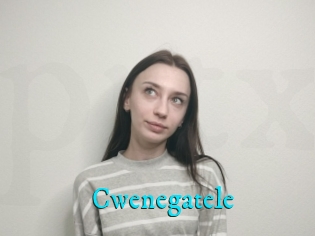 Cwenegatele
