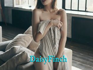 DaisyFinch