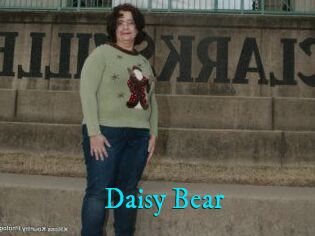 Daisy_Bear