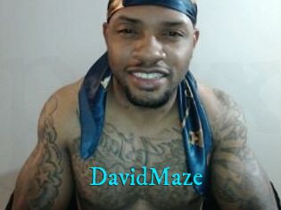David_Maze
