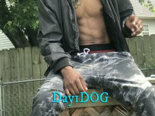 Day1DOG