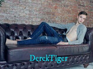 DerekTiger