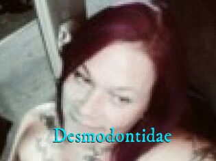 Desmodontidae