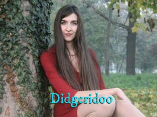 Didgeridoo