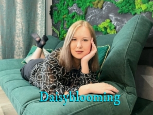 Daisyblooming