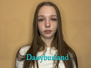 Daisyburland