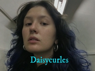 Daisycurles