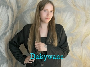 Daisywane